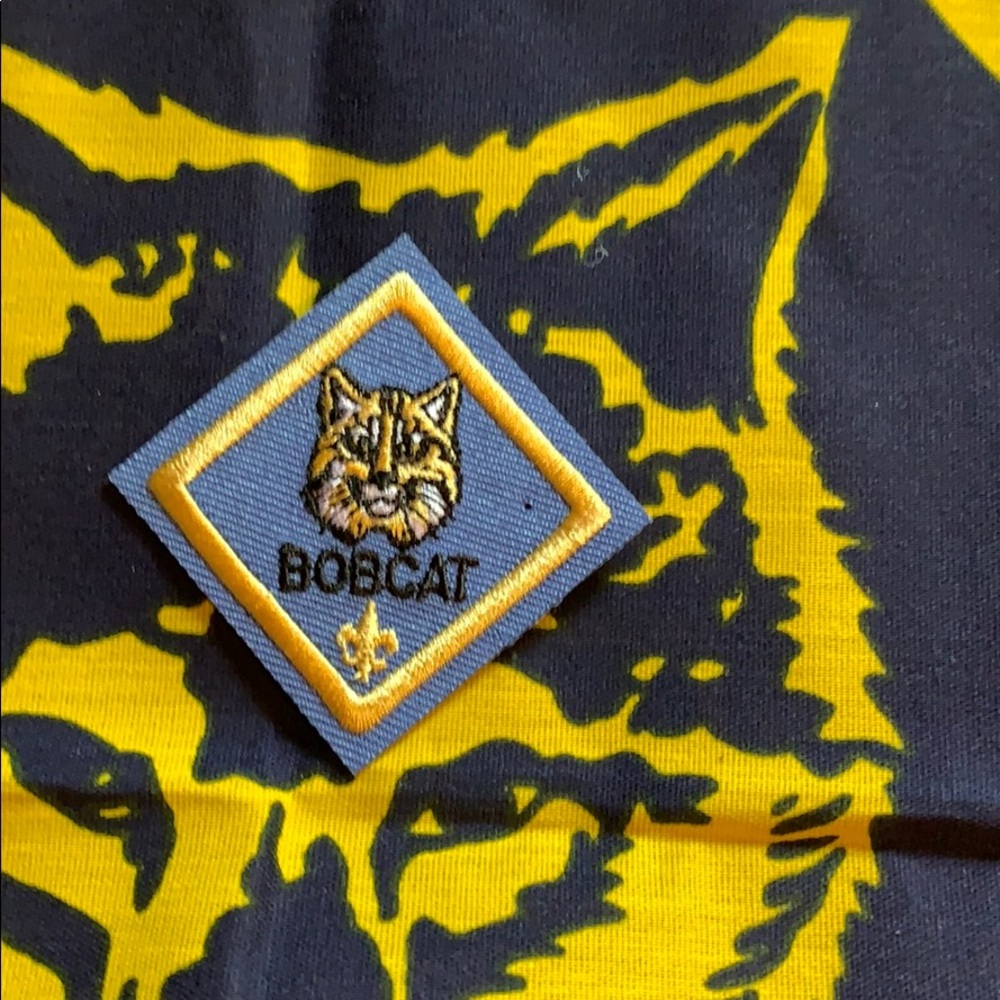 Bobcat patch blue gold boy girl Cub Scout patch